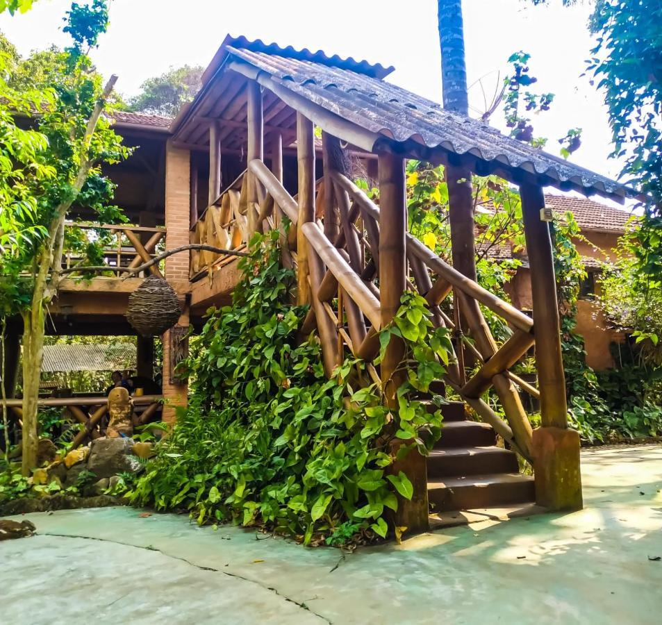 Recanto Dos Anjos Bichinho