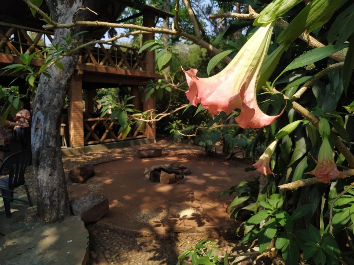 Recanto Dos Anjos Bichinho